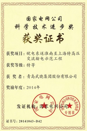 科學(xué)技術(shù)進(jìn)步獎(jiǎng)-國(guó)網(wǎng)公司